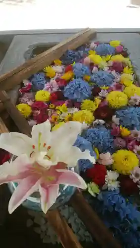 網走神社の手水舎