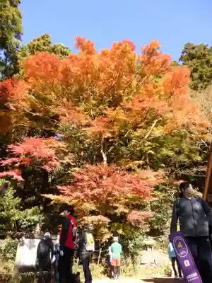 筑波山神社 女体山御本殿の周辺