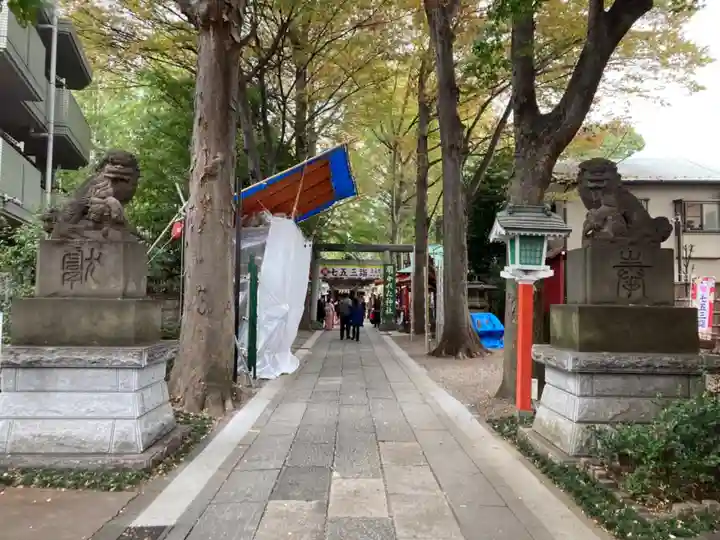 田無神社の狛犬