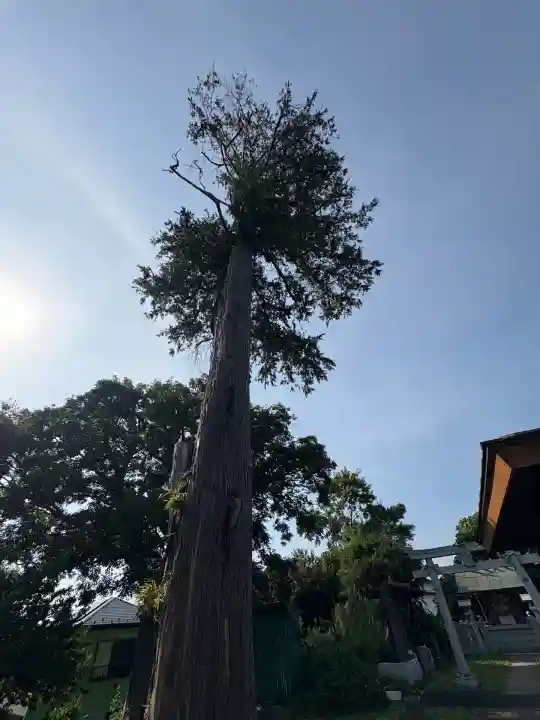 第六天神社(千葉県)