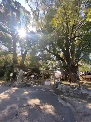 藤白神社(和歌山県)