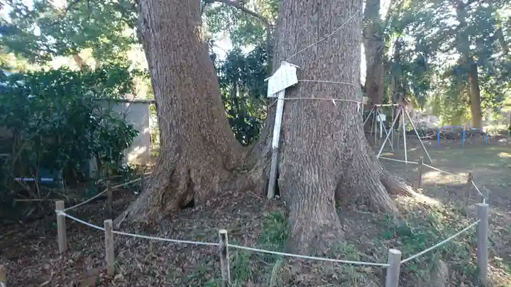 神明宮(御園)の自然