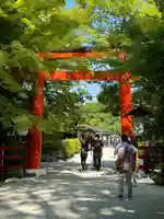 賀茂御祖神社(下鴨神社)(京都府)