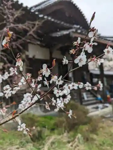 十輪寺(京都府)