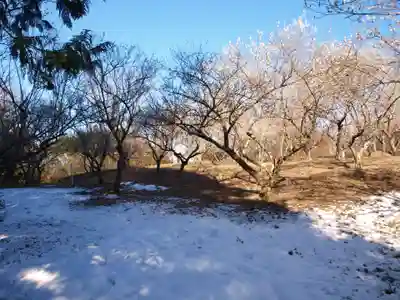 壽命院 永徳寺の景色