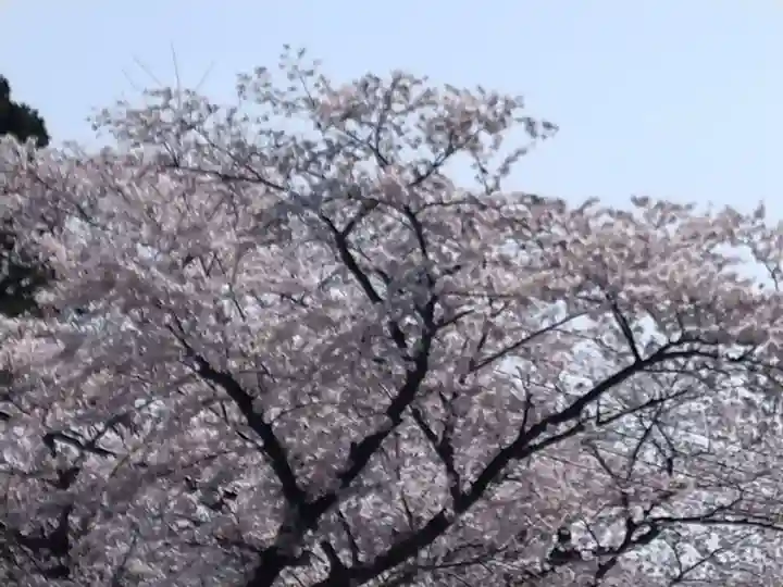 千手院(島根県)