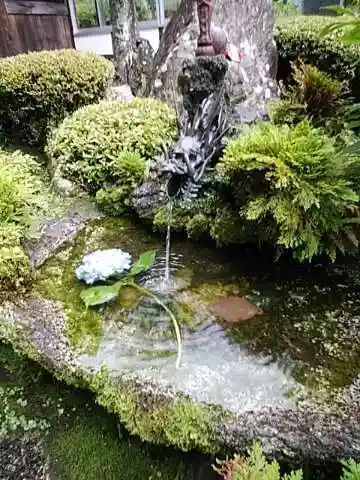 高林寺の手水舎
