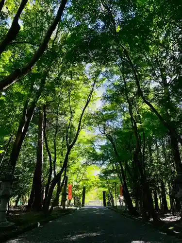 大原野神社(京都府)