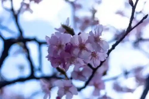 水神(長野県)