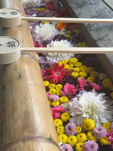 群馬県護国神社(群馬県)