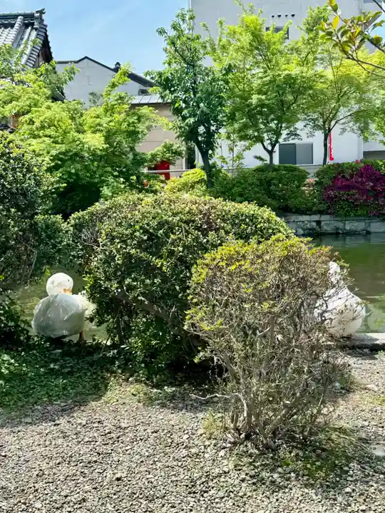 神泉苑(京都府)