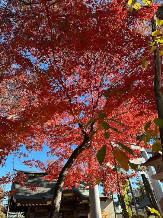 小野神社(東京都)
