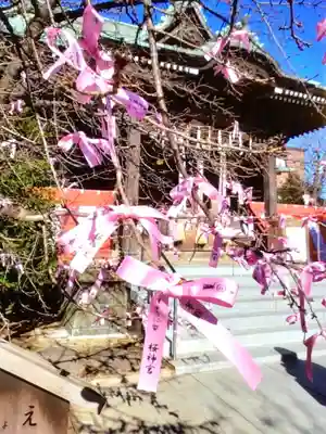 桜神宮(東京都)