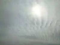 伊豫豆比古命神社(愛媛県)