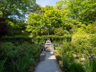 円通院の{uncategorized: "未分類", other: "その他", undefined: "問題あり", building: "その他建物", grave: "お墓", sacred_gate: "鳥居", guardian: "狛犬", statue: "像", buddha: "仏像", history: "歴史", nature: "自然", garden: "庭園", animal: "動物", pagoda: "塔", temizu: "手水舎", mountain_gate: "山門・神門", sanctuary: "本殿・本堂", subordinate: "末社・摂社", art: "芸術", scenery: "景色", jizo: "地蔵", ema: "絵馬", goshuin: "御朱印", omikuji: "おみくじ", items: "授与品その他", amulet: "お守り", goshuincho: "御朱印帳", eats: "食事", festival: "お祭り", votive_dance: "神楽", shichigosan: "七五三参", wedding: "結婚式", experience: "体験その他", initially: "初詣", around: "周辺", anti_infection: "感染症対策"}
