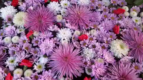 白岡八幡神社の手水舎
