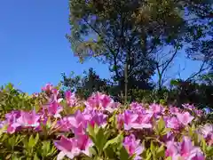 屋久島大社(鹿児島県)