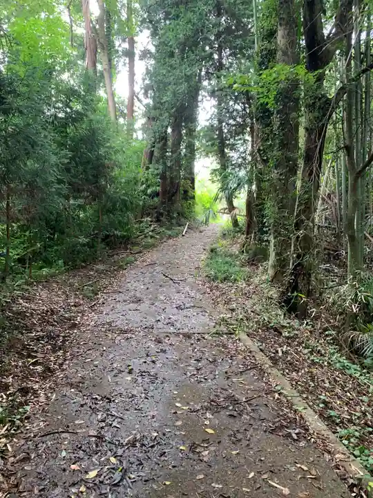 浅間神社の周辺