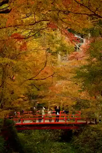 三千院門跡(京都府)