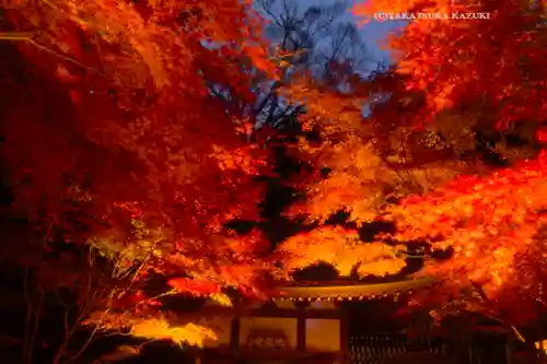 長谷寺(神奈川県)