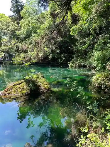 涌釜神社(栃木県)