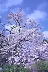 彌彦神社(新潟県)