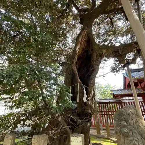 金王八幡宮(東京都)