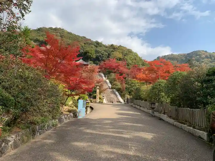 三室戸寺(京都府)