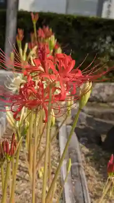 後白河院御聖蹟　法住寺(京都府)
