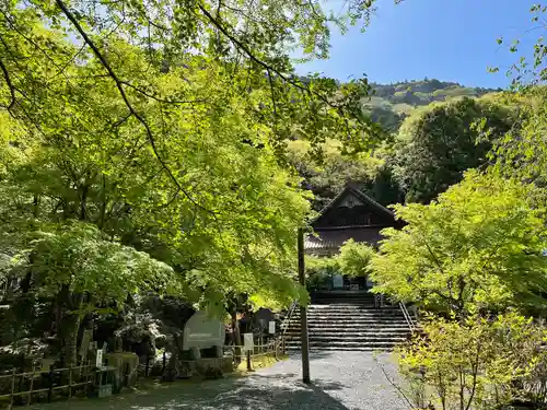 聖寳寺の庭園