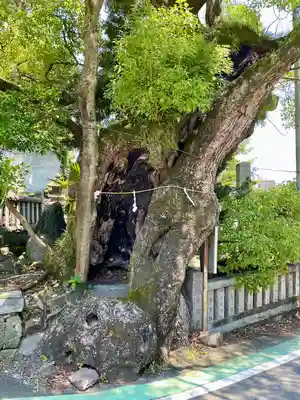 湯前神社(静岡県)