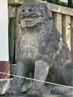 富岡八幡宮の狛犬