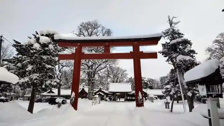 北海道護國神社の鳥居
