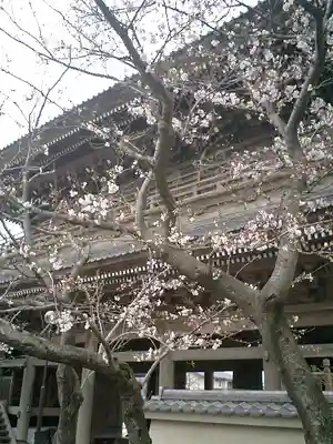 光明寺の山門・神門
