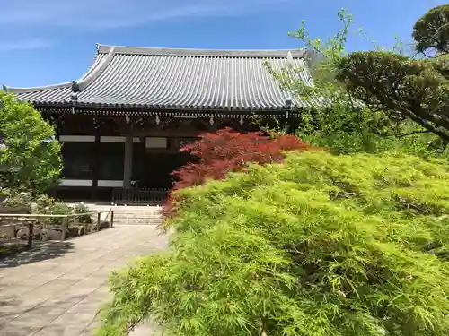 観泉寺の本殿