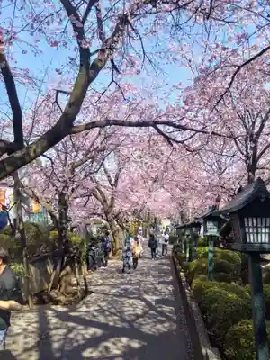 密藏院(埼玉県)