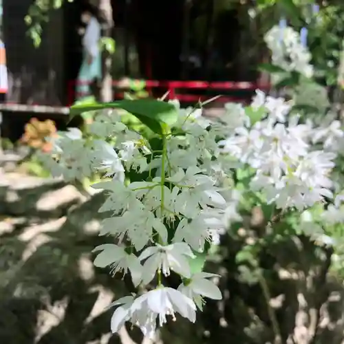 田無神社の自然
