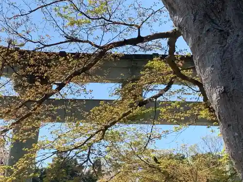 足羽神社の建物その他