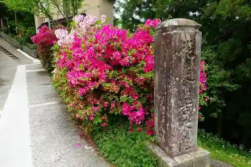 吉水神社のその他建物