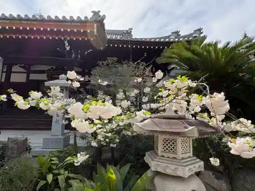 浜本山　源光寺の{uncategorized: "未分類", other: "その他", undefined: "問題あり", building: "その他建物", grave: "お墓", sacred_gate: "鳥居", guardian: "狛犬", statue: "像", buddha: "仏像", history: "歴史", nature: "自然", garden: "庭園", animal: "動物", pagoda: "塔", temizu: "手水舎", mountain_gate: "山門・神門", sanctuary: "本殿・本堂", subordinate: "末社・摂社", art: "芸術", scenery: "景色", jizo: "地蔵", ema: "絵馬", goshuin: "御朱印", omikuji: "おみくじ", items: "授与品その他", amulet: "お守り", goshuincho: "御朱印帳", eats: "食事", festival: "お祭り", votive_dance: "神楽", shichigosan: "七五三参", wedding: "結婚式", experience: "体験その他", initially: "初詣", around: "周辺", anti_infection: "感染症対策"}
