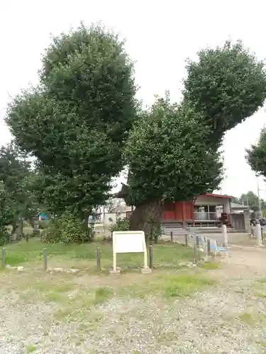 真名板薬師堂の自然