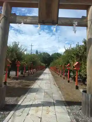 朝日森天満宮の鳥居