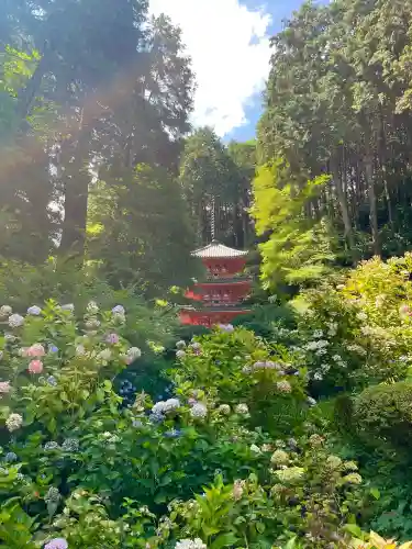 岩船寺の{uncategorized: "未分類", other: "その他", undefined: "問題あり", building: "その他建物", grave: "お墓", sacred_gate: "鳥居", guardian: "狛犬", statue: "像", buddha: "仏像", history: "歴史", nature: "自然", garden: "庭園", animal: "動物", pagoda: "塔", temizu: "手水舎", mountain_gate: "山門・神門", sanctuary: "本殿・本堂", subordinate: "末社・摂社", art: "芸術", scenery: "景色", jizo: "地蔵", ema: "絵馬", goshuin: "御朱印", omikuji: "おみくじ", items: "授与品その他", amulet: "お守り", goshuincho: "御朱印帳", eats: "食事", festival: "お祭り", votive_dance: "神楽", shichigosan: "七五三参", wedding: "結婚式", experience: "体験その他", initially: "初詣", around: "周辺", anti_infection: "感染症対策"}