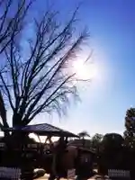 成願寺(東京都)