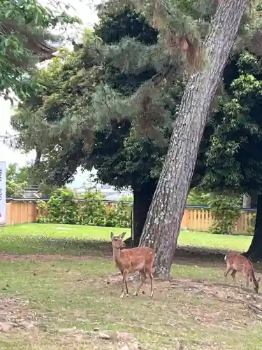 興福寺(奈良県)