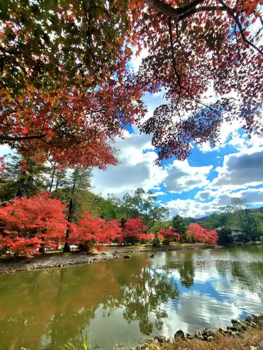 白水阿弥陀堂の自然