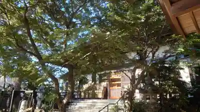 興禅寺(栃木県)