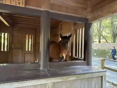 伊勢神宮内宮（皇大神宮）(三重県)