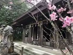 小戸神社の本殿