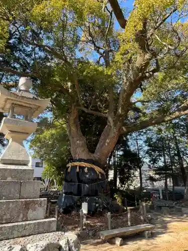 許禰神社の{uncategorized: "未分類", other: "その他", undefined: "問題あり", building: "その他建物", grave: "お墓", sacred_gate: "鳥居", guardian: "狛犬", statue: "像", buddha: "仏像", history: "歴史", nature: "自然", garden: "庭園", animal: "動物", pagoda: "塔", temizu: "手水舎", mountain_gate: "山門・神門", sanctuary: "本殿・本堂", subordinate: "末社・摂社", art: "芸術", scenery: "景色", jizo: "地蔵", ema: "絵馬", goshuin: "御朱印", omikuji: "おみくじ", items: "授与品その他", amulet: "お守り", goshuincho: "御朱印帳", eats: "食事", festival: "お祭り", votive_dance: "神楽", shichigosan: "七五三参", wedding: "結婚式", experience: "体験その他", initially: "初詣", around: "周辺", anti_infection: "感染症対策"}